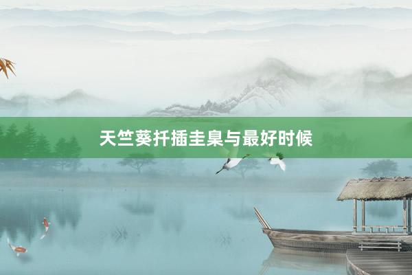 天竺葵扦插圭臬与最好时候