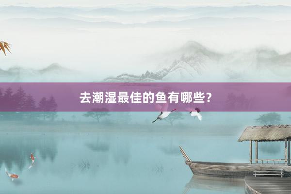 去潮湿最佳的鱼有哪些？